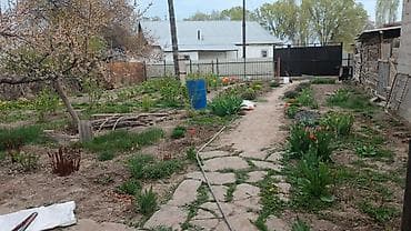 недвижимость квартира: 7 соток, Для сельского хозяйства, Красная книга, Тех паспорт, Договор дарения — 4