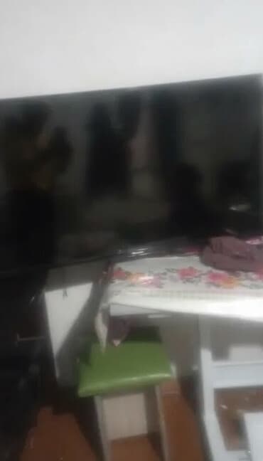 gps для лошадей: Телевизоры — 2