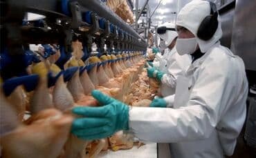 на дому работа: Требуется Упаковщик, Оплата: Дважды в месяц, Без опыта — 3