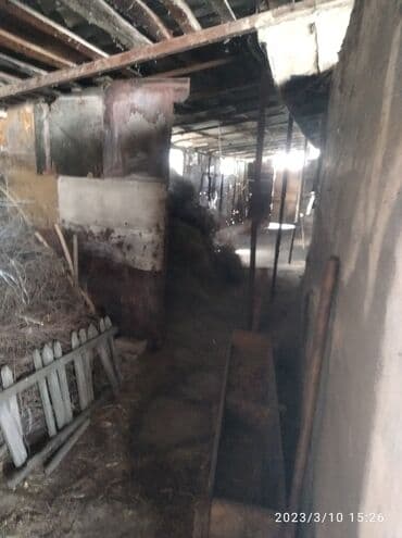 куплю дом в районе ак орго: Дом, 3600 м², 4 комнаты — 9