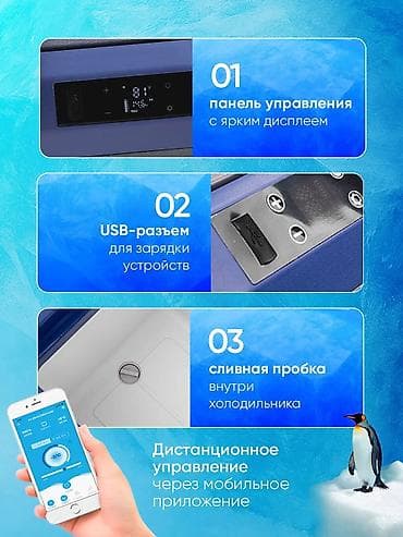 porter 1: Alpicool NL30 портативдүү компрессордук автохолодильник Алыскы — 4
