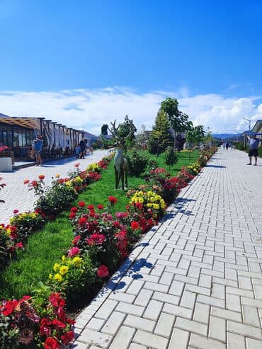 клуб отель палм бич иссык куль чок тал фото: Коттедж, Палм Бич ЦО Palm Beach, Чок-Тал, Детская площадка, Парковка, стоянка, Охраняемая территория — 24