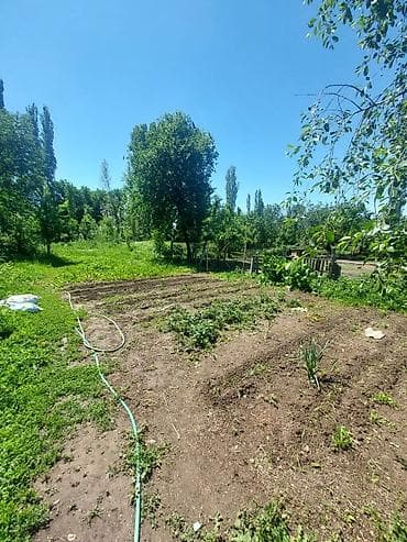 бизнес аппарат: Срочно срочно продаю участок под бизнес. Село Новопокровка, на участке — 10