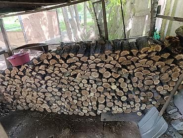 пилить дрова: Дрова — 1