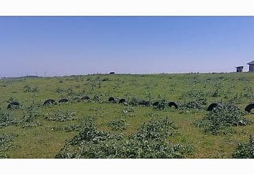 6 соток, Для строительства, Красная книга