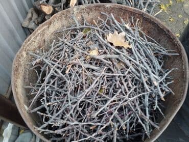 купить семена клевера кормового: Дрова Самовывоз — 5