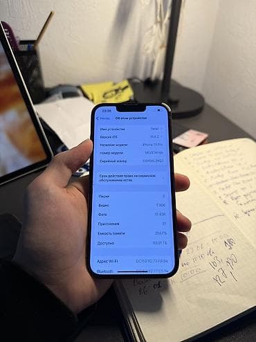 apple 13: IPhone 13 Pro, Б/у, 256 ГБ, Black Titanium, Чехол, Защитное стекло, 88 % — 7