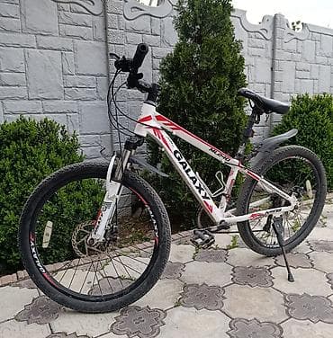 рама газон: Горный велосипед, Galaxy, Рама M (156 - 178 см), Алюминий — 5