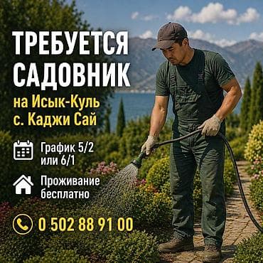 полевые работы: Требуется садовник-поливальщик в фруктовый сад на Иссык-Куле. Сад — 1