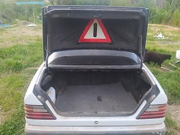 Mercedes-Benz W124: 1993 г., 2 л, Кол менен иштөөчү, Дизель, Седан — 2