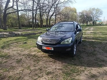 фары rx300: Lexus RX: 2004 г., 3 л, Автомат, Бензин, Кроссовер — 1