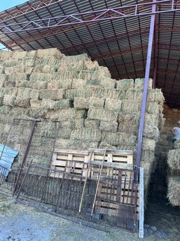 наполнители для кошек: Сено в тюках (малые прямоугольные кипы), складское хранение под — 2