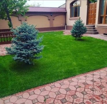 🟥Посев газона 🟥Сеем газон 🟥 Озеленение территории 🟥 Ландшафтный