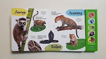 экзотические животные мира: Книжки для детей про животных со звуками. ВНИМАНИЕ! остались только — 9