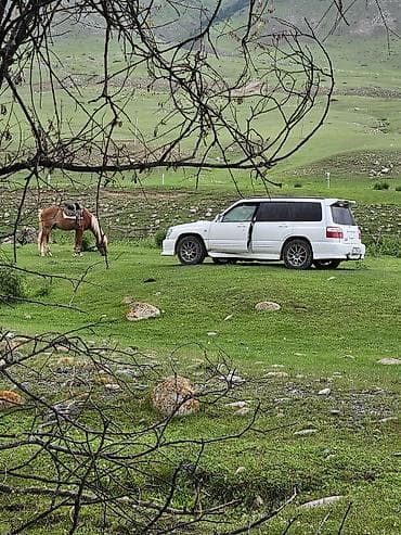 Унаа: Subaru Forester: 2000 г., 0.2 - engine capacity л, Автомат, Бензин, Кроссовер — 5