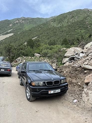 e53 4 8: BMW X5: 2003 г., 3 л, Автомат, Дизель, Кроссовер — 1