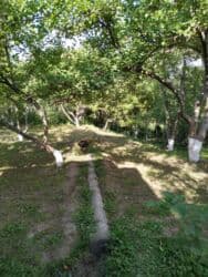 продаю дом в рабочем городке: Дача, 38 м², 2 комнаты, Собственник, Косметический ремонт — 9