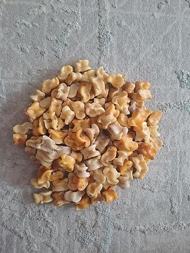 Оюнчуктар: 🔥 ПРОДАЮ АЛЬЧИКИ 🔥 Есть в наличии красивые и крепкие альчики 🐏 — 1