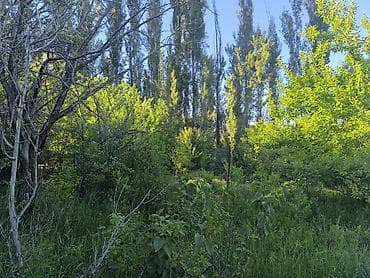 участо: 52 соток, Курулуш, Кызыл китеп — 3