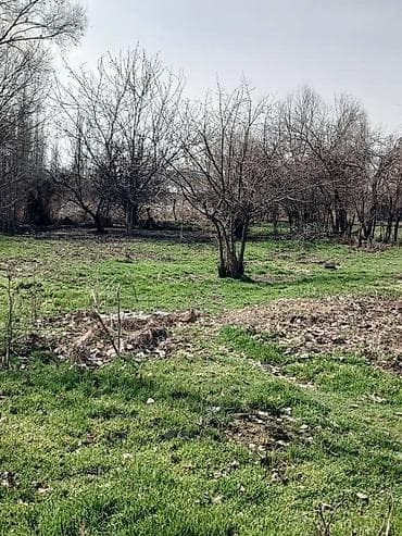 41 соток, Для бизнеса, Договор купли-продажи
