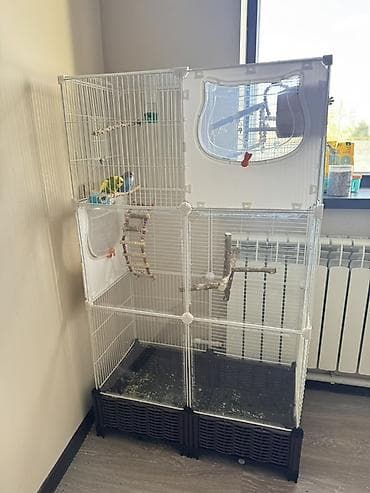 ат башы там: ПОПУГАЙ 🦜 Большая модульная клетка для волнистых попугаев/мелких птиц — 3