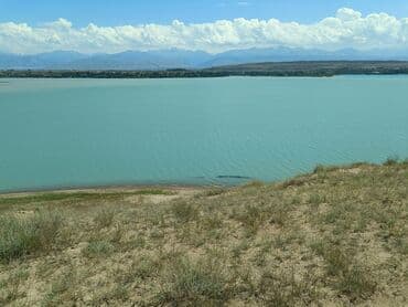 дом в районе кызыл аскер: Продаю Кошара, 600 соток, Действующий, С оборудованием, Электричество, Скважина — 9