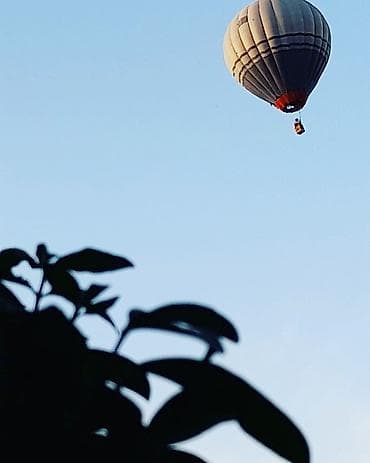 Недвижимость: 🌲 Зона отдыха "Фазенда"🌲 К вашим услугам мы предлагаем в аренду: ☀️ — 4