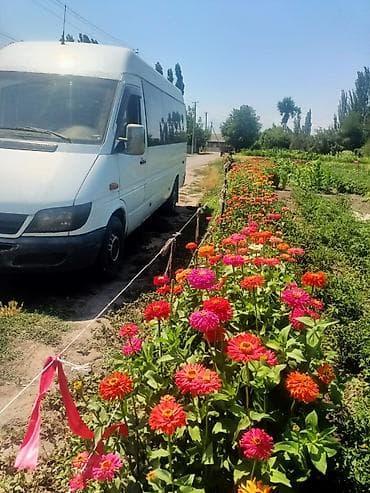 Продажа авто: LDV : 2003 г., 2.2 л, Бус — 3