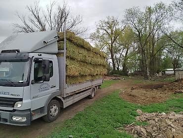 Сено в тюках (малые прямоугольные) — луговое/злаково-бобовое