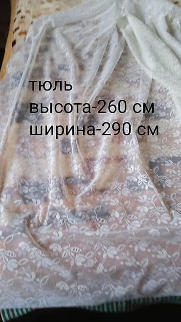 отдам даром животных бишкек: Отдам каждую за стиральный порошок.Уточняйте!Смотрите фото!Самовывоз — 10