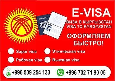 Оформление E-Visa в Кыргызстан Шенгенский visa Все виды visa Услуги