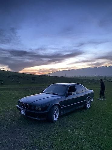 бдв кузов: BMW 5 series: 1995 г., 2 л, Механика, Бензин, Седан — 3
