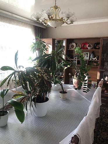 город кызыл кия: 📍ул. Васильева 🔘6-комнат 🔘150м² Срочно продаётся добротный кирпичный — 6