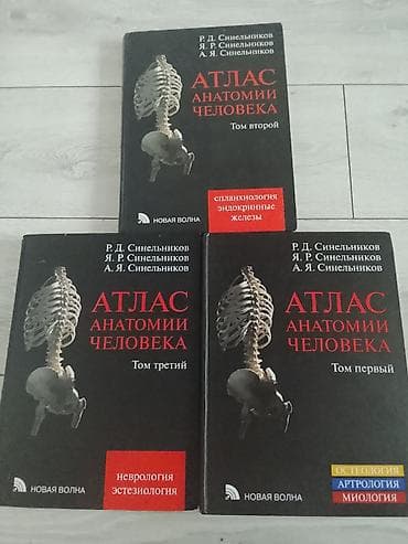 эндо: Продаю Атлас анатомии человека, каждая 5к, если все вместе отдам за — 1