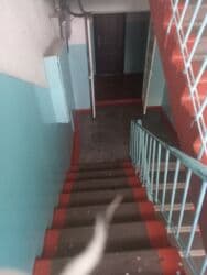 отдых на панораме: 18 м², Без мебели — 3