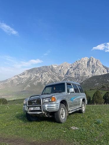 саната lpi: Hyundai Galloper: 1997 г., 2.5 л, Механика, Дизель, Внедорожник — 1