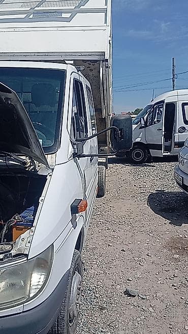 daf 95xf: Легкий грузовик, Mercedes-Benz, Дубль, 3 т, Новый — 3