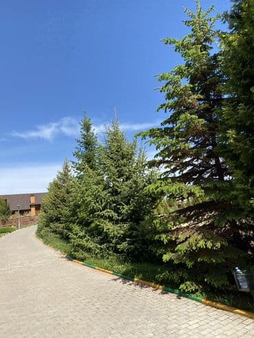 una laguna иссык куль: Таунхаус, Таунхаус ЦО Ак Марал, Бает, Детская площадка, Парковка, стоянка, Охраняемая территория — 19