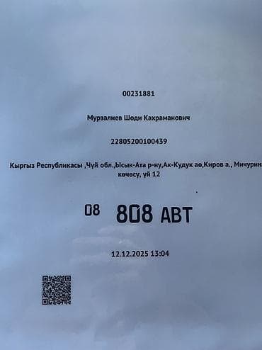 кожа плащ: Daewoo : 2025 г. — 2