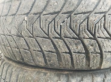 r17 4100: Шины 205 / 55 / R 16, Зимняя шипованная, Комплект, Франция, Michelin — 3