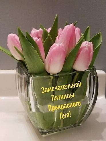 Композиция из свежих тюльпанов в стеклянной квадратной вазе. -