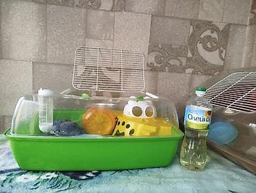 3д сетки: Клетка . террариум . в отличном состоянии размеры : длина 53 ширина — 5