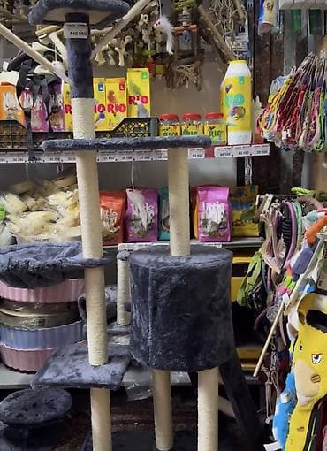 цум аренда места: Сдается место в действующем магазине под зоокорма!!!! Канцтовары!!!! — 2