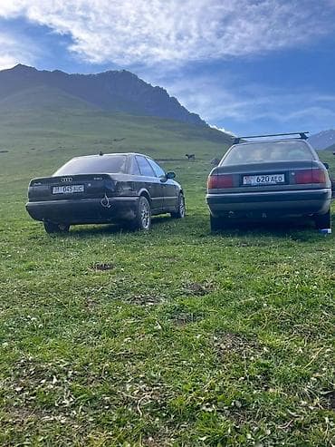 Audi 100: 1992 г., 2 л, Бензин, Седан — 5