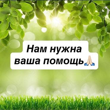 дари: Просим помочь неравнодушных людей* 🙏 Здравствуйте! У нас в семье двое — 1