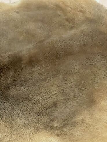 мужская безрукавка жилет: Ковер Шкура, Безналичная/наличная оплата — 2