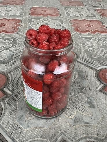 Продукты питания: Малина В розницу — 3