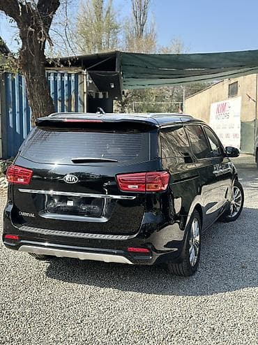 250000 авто: Kia Carnival: 2019 г. — 3