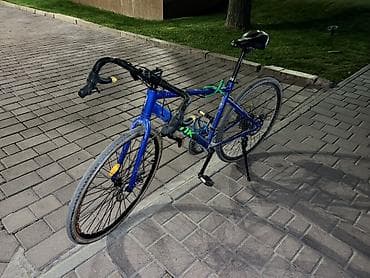 sador diska: Шоссейный велосипед — 2