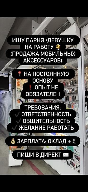 продавец телефонов: Вакансия: продавец-консультант в отдел мобильных аксессуаров Что — 1